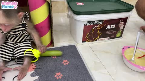 Smart BiBi helps dad feed baby parrotsp4