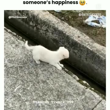 Someone's happiness ❤️