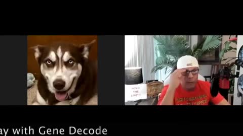 Scott McKay with Gene Decode - US DUMBs updates