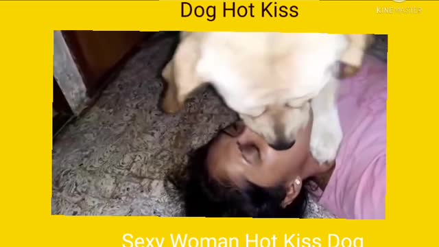 Dog Kiss Woman