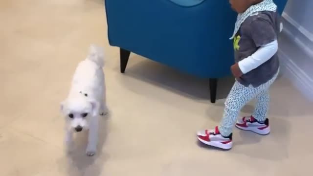 Funny child with his dog..