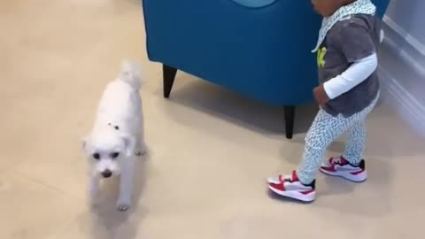 Funny child with his dog..