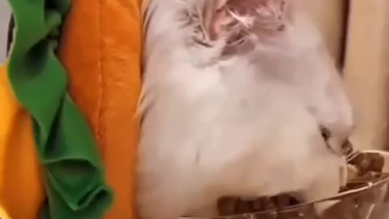 Real sound