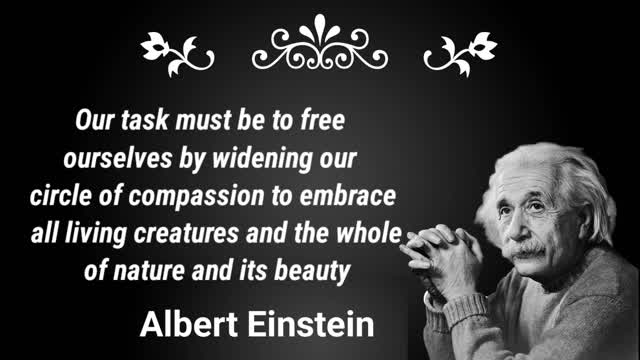 5 Most Popular Albert Einstein Quotes