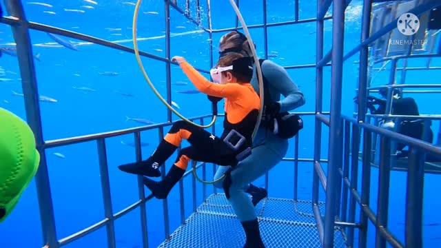 Scuba diving near the shark