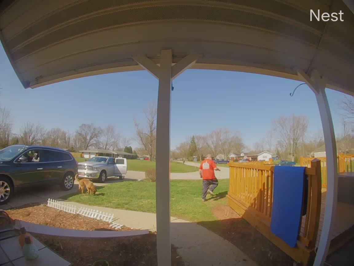 Running Dog Rips Porch Post Right off House