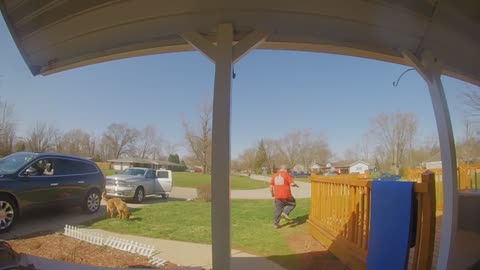 Running Dog Rips Porch Post Right off House