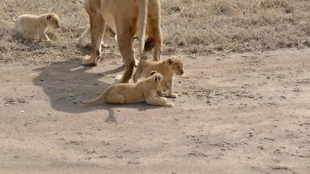 Mommy keeps a watchful eye