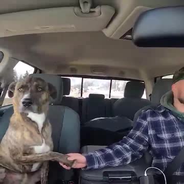 Love One Another (Including Plants & Animals)