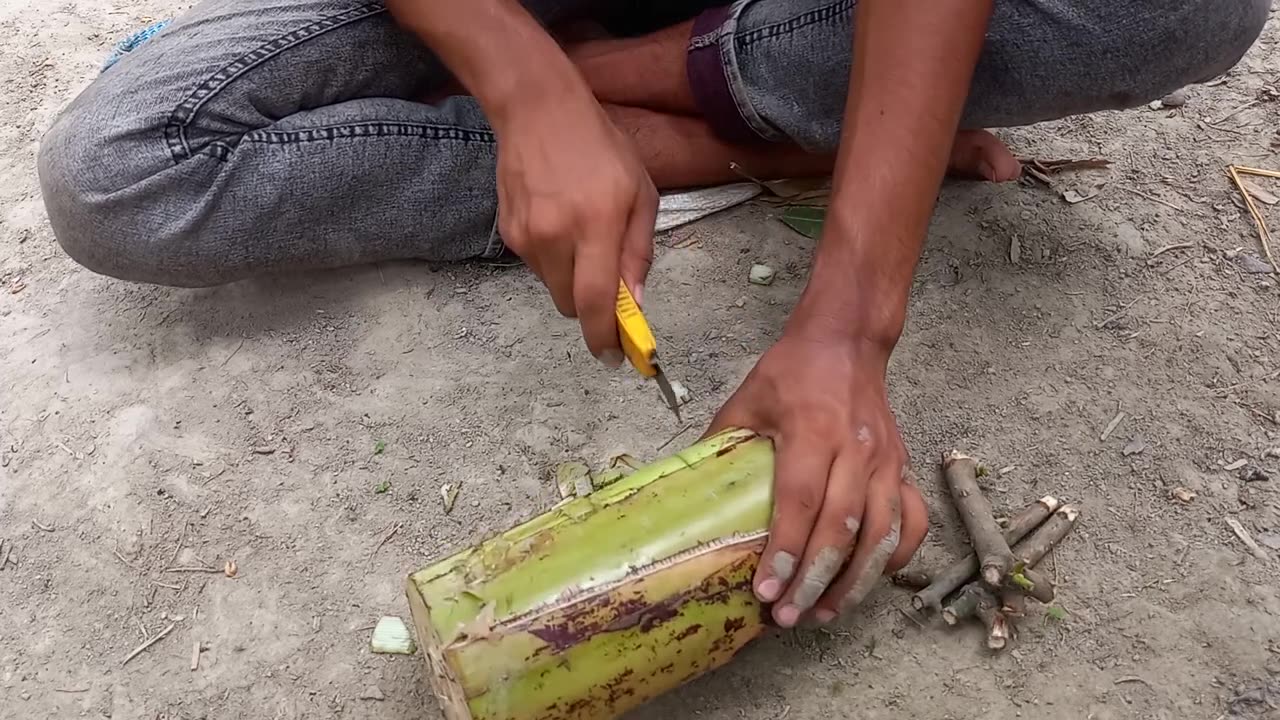 Mango tree cutting In Banana Tree Trunk