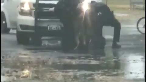 Historical video of 2020 Election