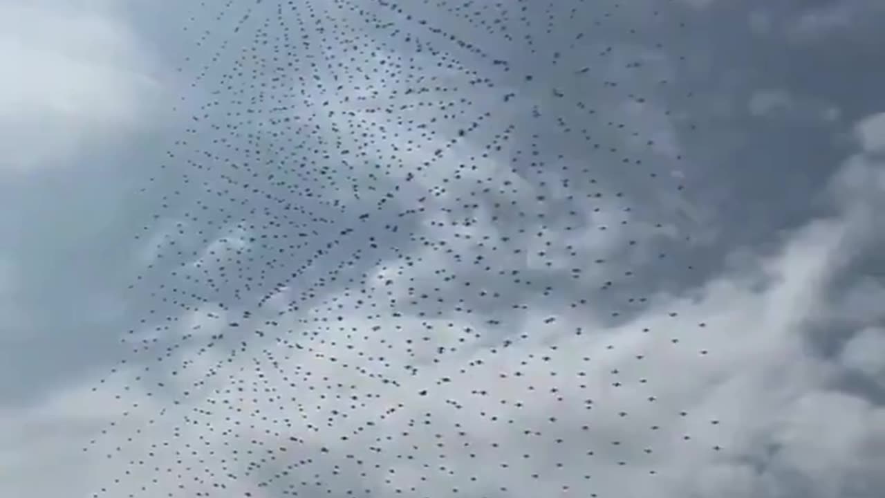 coordinated drone swarm