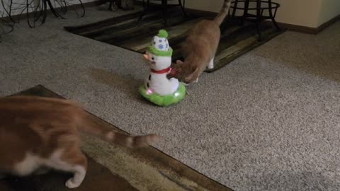 Cats meet snowman