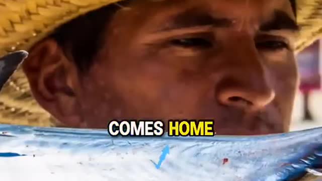 Andrew Tate: The mexican fisherman's tale