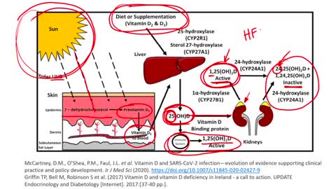 Professor Seheult on studies linking Vitamin D deficiency with COVID-19