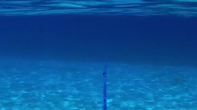 "The moment when I came out of the water, I felt like I was in an alien world."