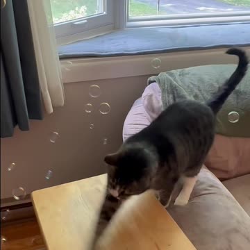 Taylin and Tigger Bubble Time!