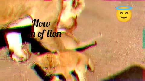 Watch the sound of lion and its son. #trending, #trendy.