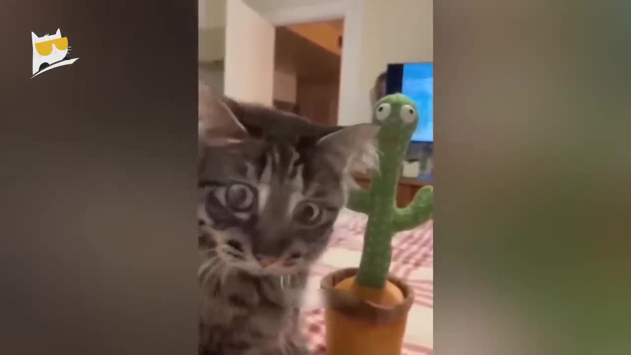 Funniest animals 2023 🐱In tiktok 😂 Funny and Fails Pets Video #32