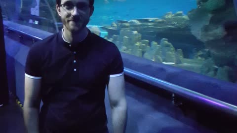 KLCC Aquaria Malaysia, with the cat daddy