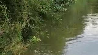 Botanic Garden in Hamburg
