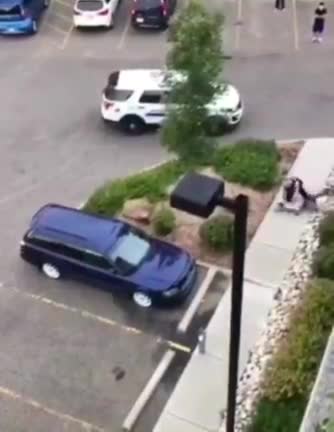 This is what's happening in Australia: a harmless