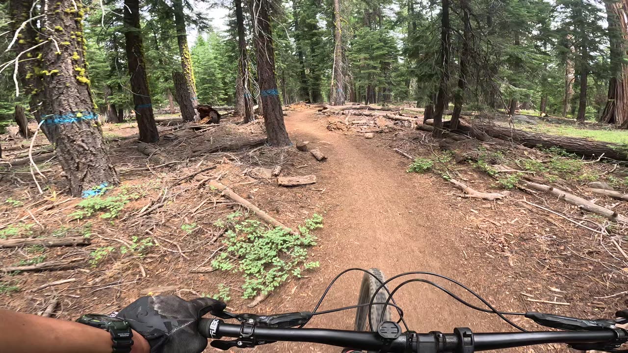 [MTB] Tahoe Rim Trail (TRT), Flinstones Section (Tahoe City, CA)