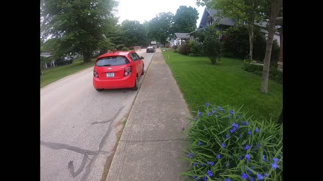 Street repairs, flowers and a tomato. Testing out my new camera