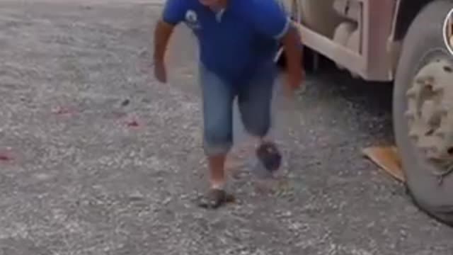 funny Video