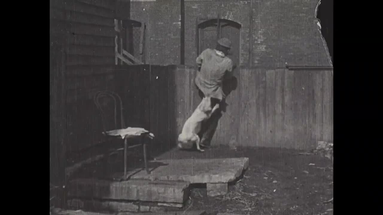 The Tramp and the Dog (1896)