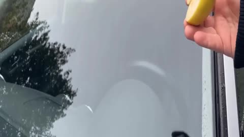 Rub your Car Windshield with an APPLE and WATCH WHAT HAPPENS 💥 (Amazing) 🤯