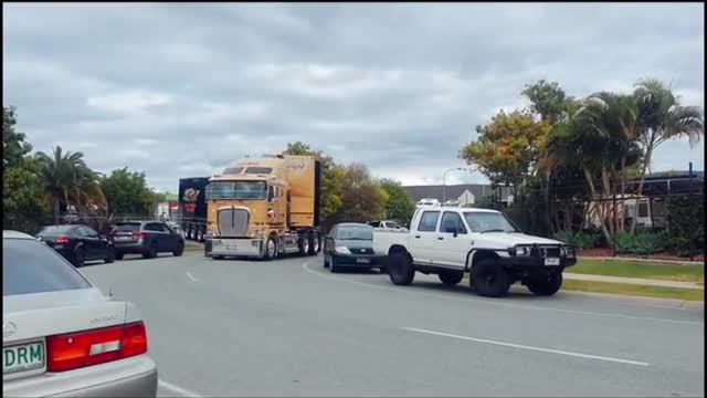 To me, the crew-cut king Kenworth 200 looks like a bumblebee