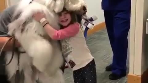 Auditioning to be Santa’s lil pupper...dog funny video .dog with girl