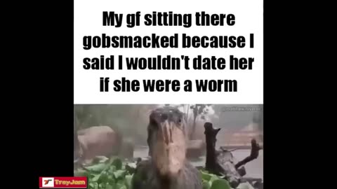 Try Not To LAUGH 😂