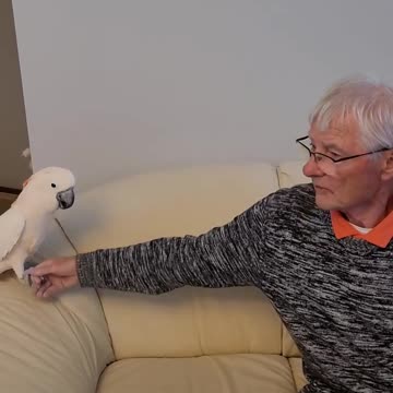 Mango joyfully playing with his Pops on a recent visit.