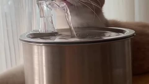 LINK IN DESCRIPTION💕 A cat that drinks more water is a happier and healthier cat!