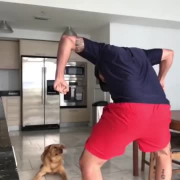 CUTE DOG VIDEOS 💙🐶 - FUNNY DOG VIDEOS 😂🐶 - AMAZING DOGS #shorts