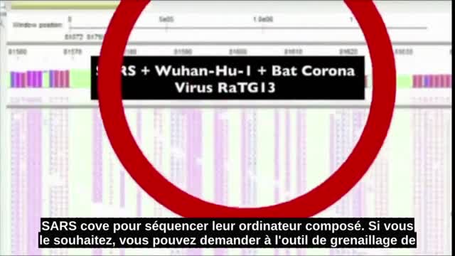 La fraude du Coco19 en 19 minutes