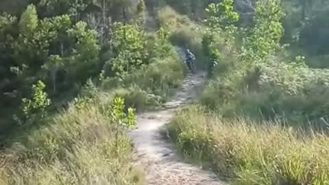 Guy biking down hill nothing happens