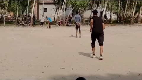 Cricket