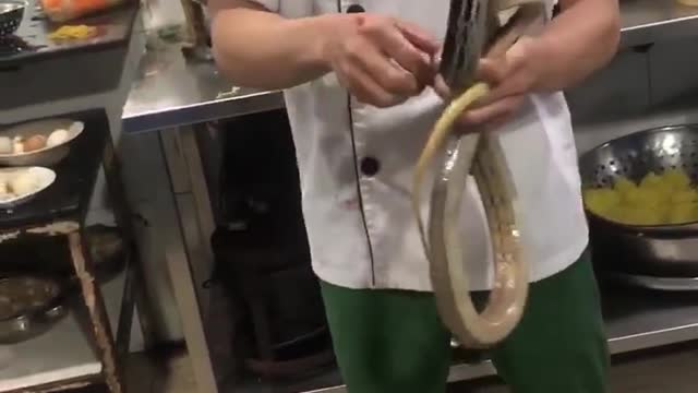 The man teases the snake and is attacked by it