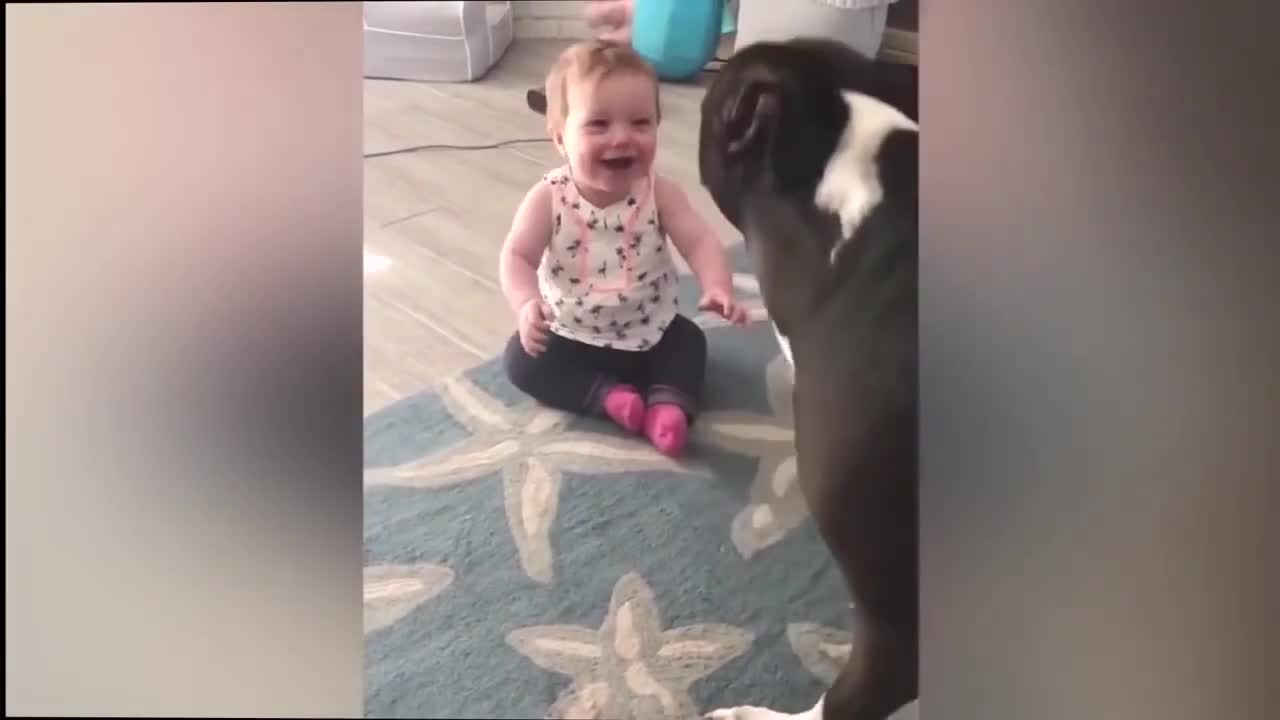 baby playing with the little dog. 02