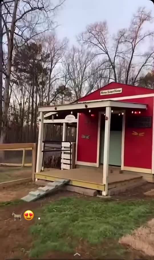 funny|prank|jokes|funny jokes|dad jokes|funny memes|funny video|fun|laughing|funny animal|knock