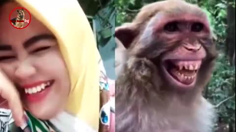 Troll to dog! Fake lion and fake tiger prank to dog very funny to watch🤣