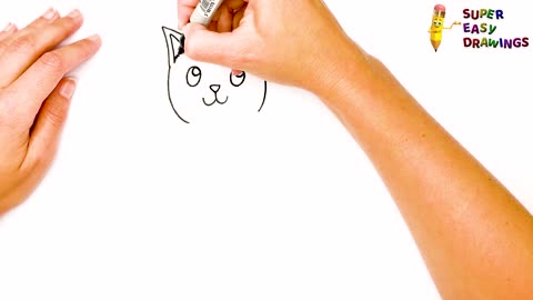 How to draw a cat