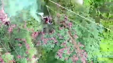 How to make amazing and the kids out of the way to the results