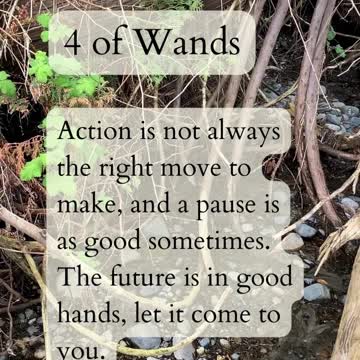 PathandTarot in Nature With a Road of Coins