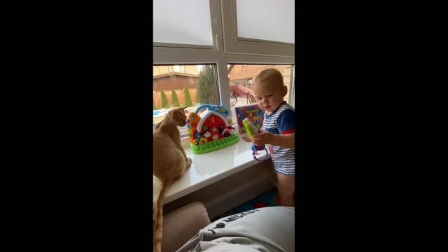 baby and cat