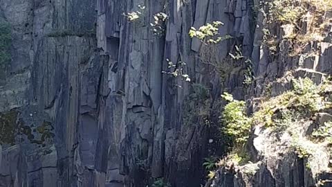 Cliff Jump Near Miss