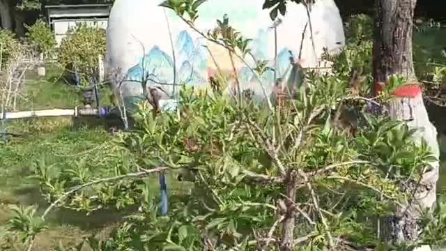 Beautiful park with birds chirping